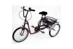 Tricycle Tonicross City Junior Bordeaux Jaspe pour enfant handicapé - vignette 2