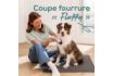 Beurer Love Your Pet Tondeuse « Fluffy » pour chiens et chats, tondeuse silencieuse, pour poils denses et feutrés, tondeuse pour animaux avec batterie, kit de soin du pelage 9 pièces - vignette 1