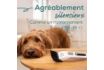 Beurer Love Your Pet Tondeuse « Fluffy » pour chiens et chats, tondeuse silencieuse, pour poils denses et feutrés, tondeuse pour animaux avec batterie, kit de soin du pelage 9 pièces - vignette 3