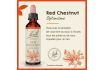 Fleurs de Bach Original, Red Chestnut - Pour plus d'optimisme, aide à moins se préoccuper de ses proches. Elixir floral naturel pour le bien-être émotionnel - vignette 8