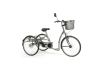 Tricycle adulte LAGOON e-Tricycle Gris- Modéle 3 vitesses - vignette 3