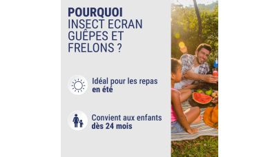 Insect Ecran Spray Guêpes Et Frelons Fl/100ml - image 1